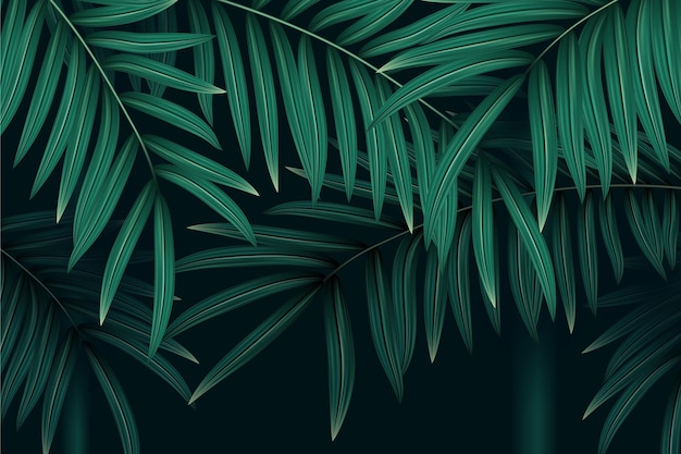 Vector gratuito fondo de hojas tropicales