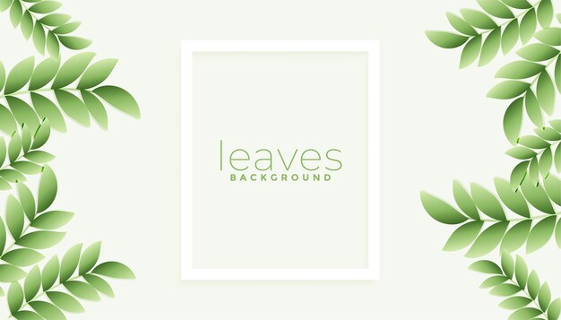 Fondo de hojas verdes naturales con espacio de texto