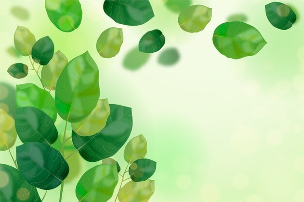 Fondo de hojas verdes realistas