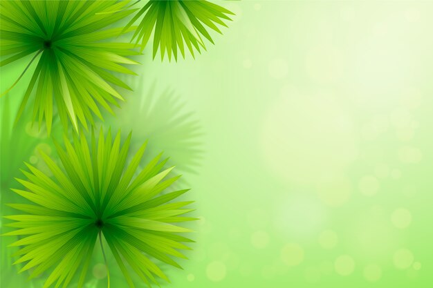 Fondo de hojas verdes realistas