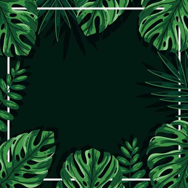Fondo de hojas verdes tropicales con marco