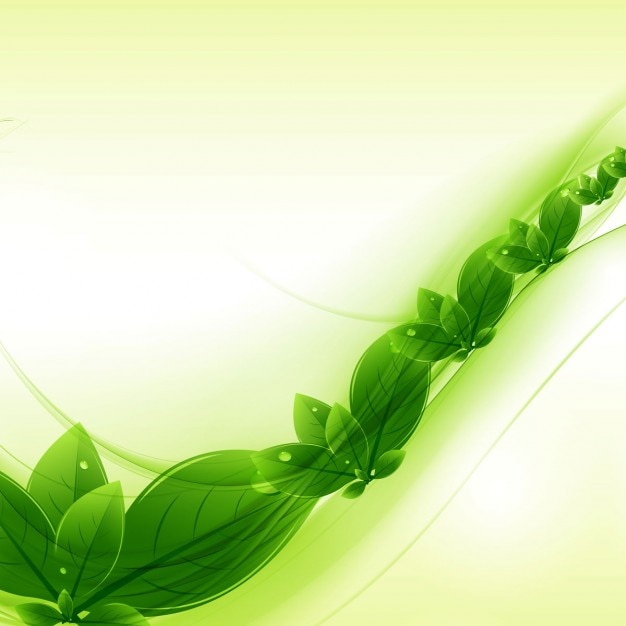 Fondo de hojas verdes