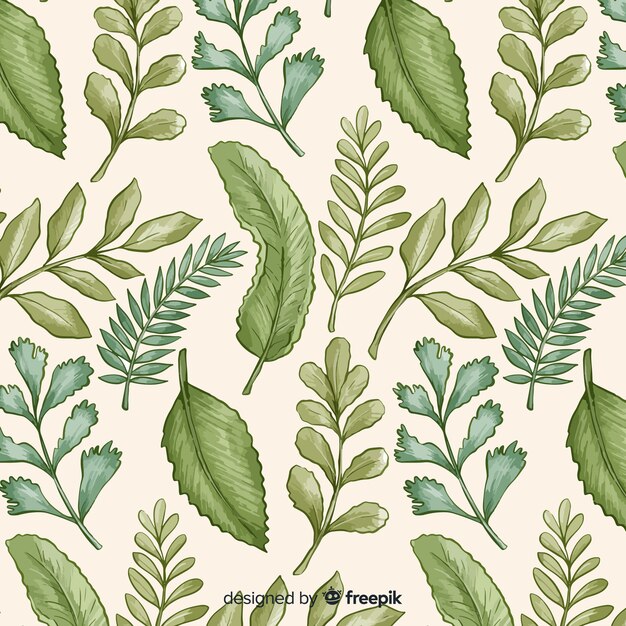 Fondo hojas vintage dibujadas a mano