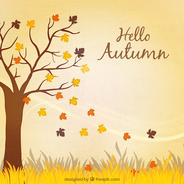 Fondo de Hola otoño con hojas