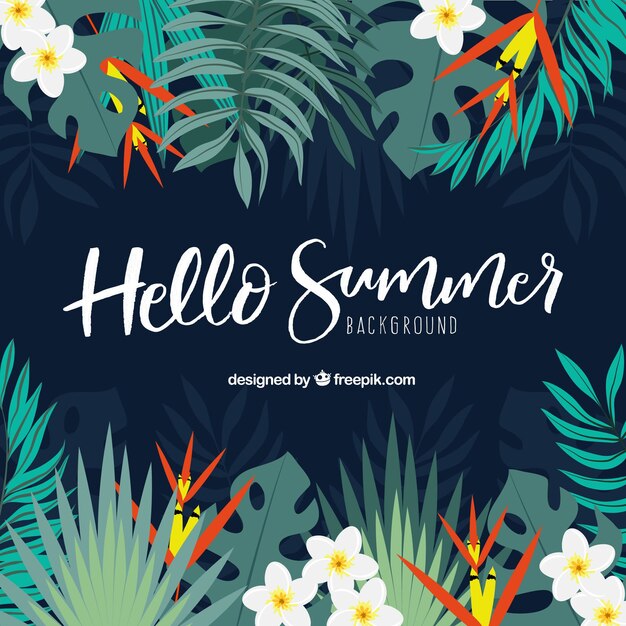 Fondo de hola verano con plantas y flores coloridas