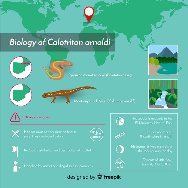 Fondo infografía ecosistema con animales en su habitat