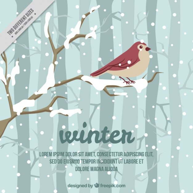 Fondo de invierno bonito con pájaro y nieve