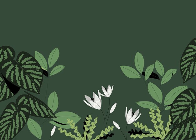 Fondo del jardín botánico