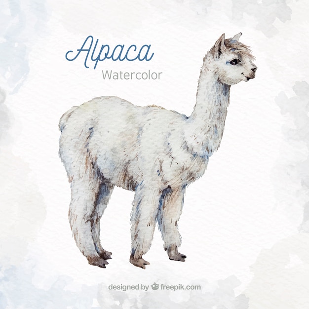 Vector gratuito fondo de linda alpaca en estilo acuarela