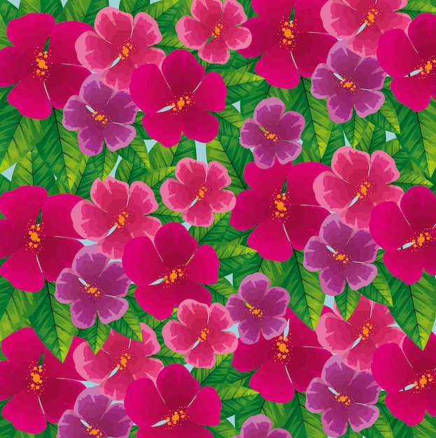 Fondo de lindas flores fucsia con hojas