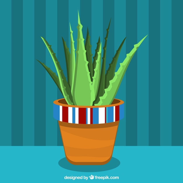 Fondo de maceta decorativa de aloe vera