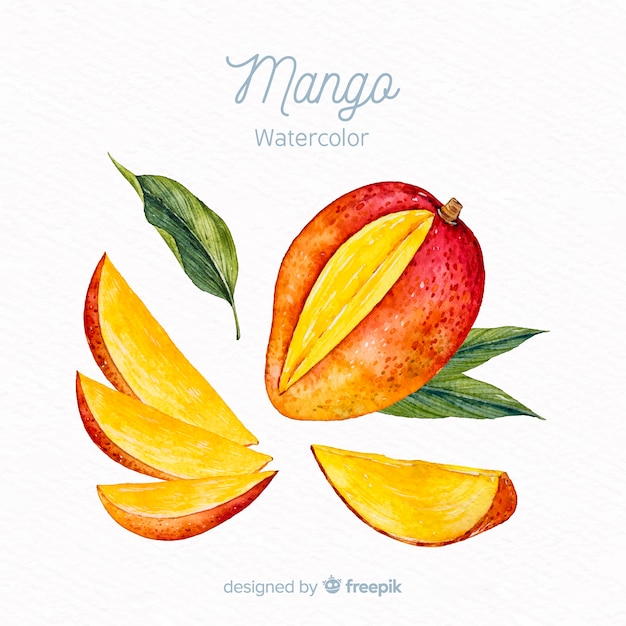 Fondo mango acuarela