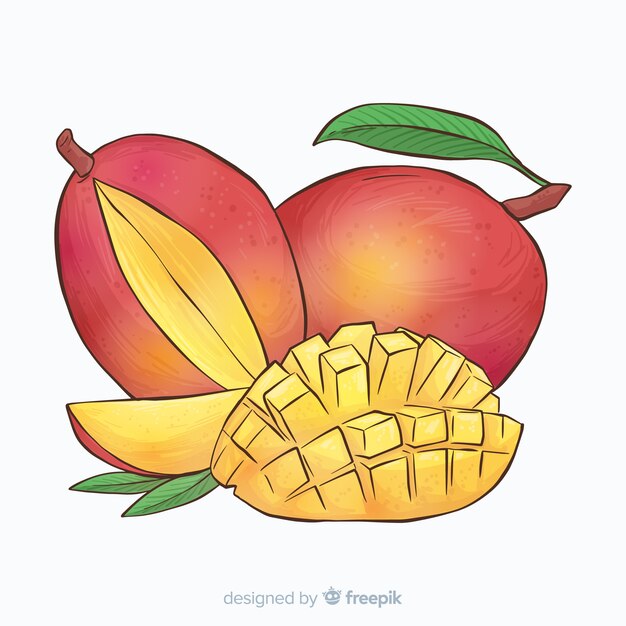 Fondo mango dibujado a mano