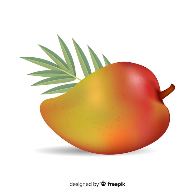 Vector gratuito fondo mango dibujado a mano