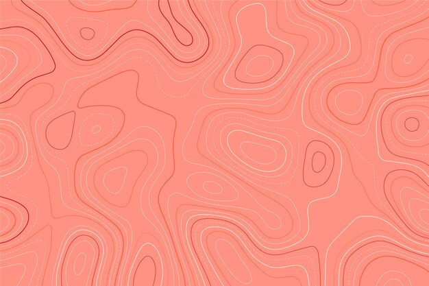 Fondo con mapa topográfico