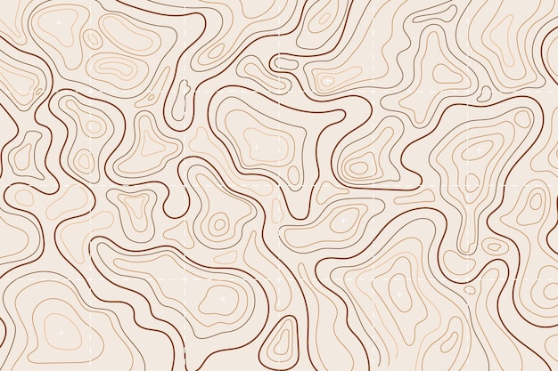 Fondo del mapa topográfico