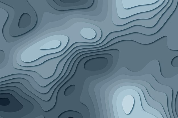 Fondo de mapa topográfico