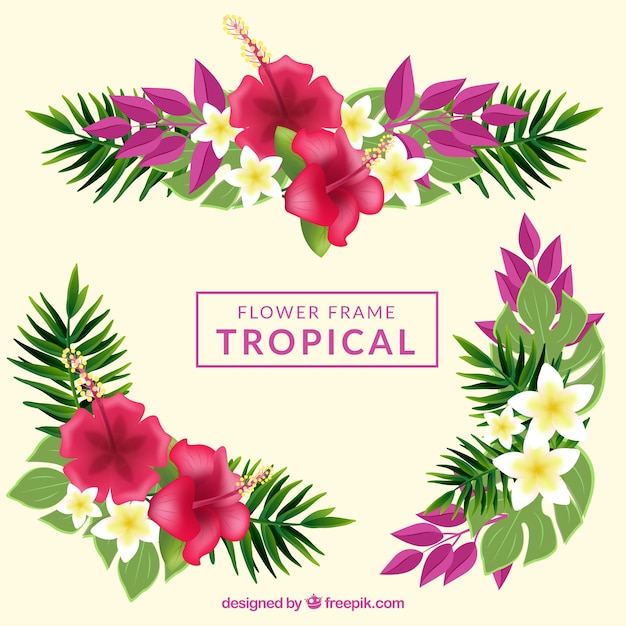Vector gratuito fondo con marco de flores tropicales