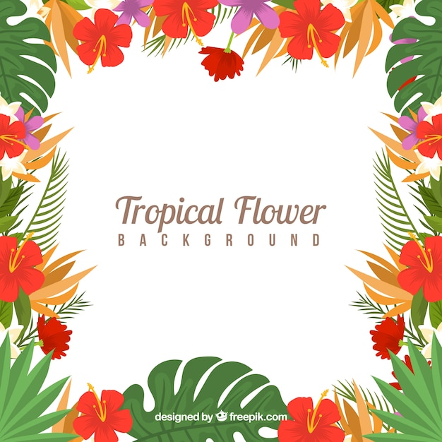 Vector gratuito fondo con marco de flores tropicales