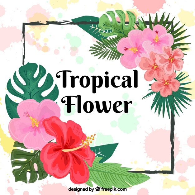 Fondo de marco con flores tropicales 