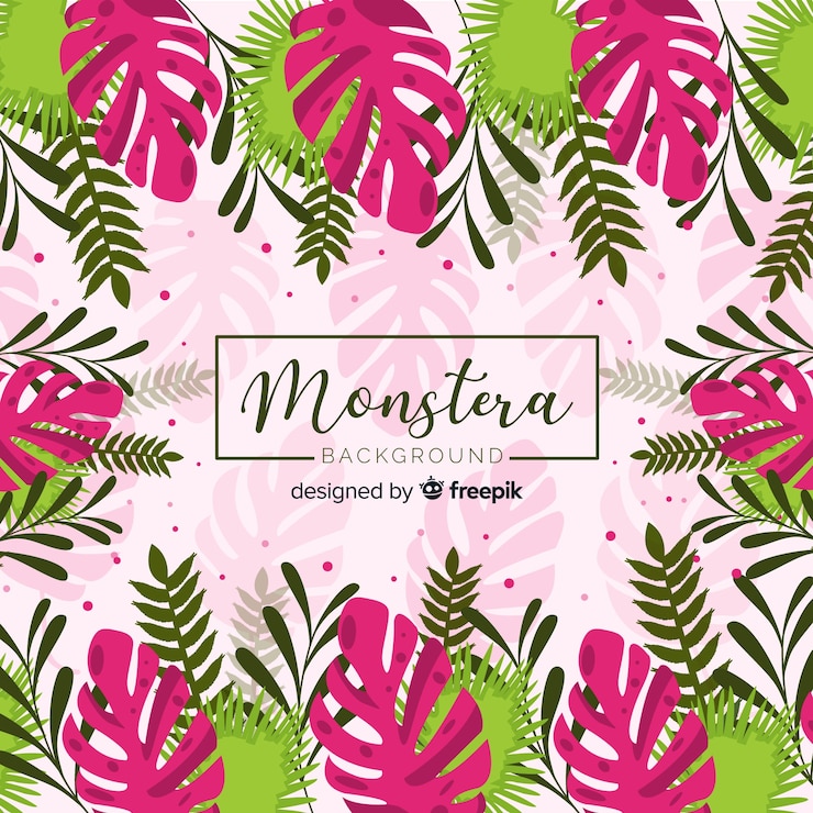 Vector gratuito fondo marco de hojas monstera coloridas