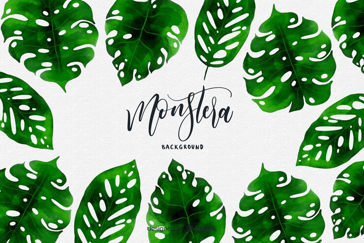 Vector gratuito fondo marco hojas monstera dibujadas a mano
