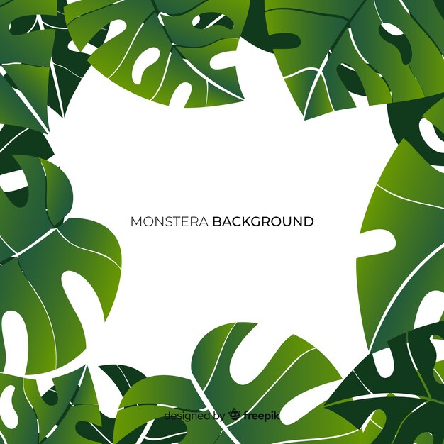 Fondo marco hojas monstera dibujadas a mano