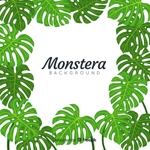 Fondo marco hojas de monstera
