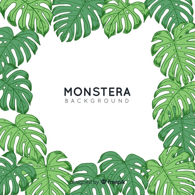 Fondo marco hojas de monstera