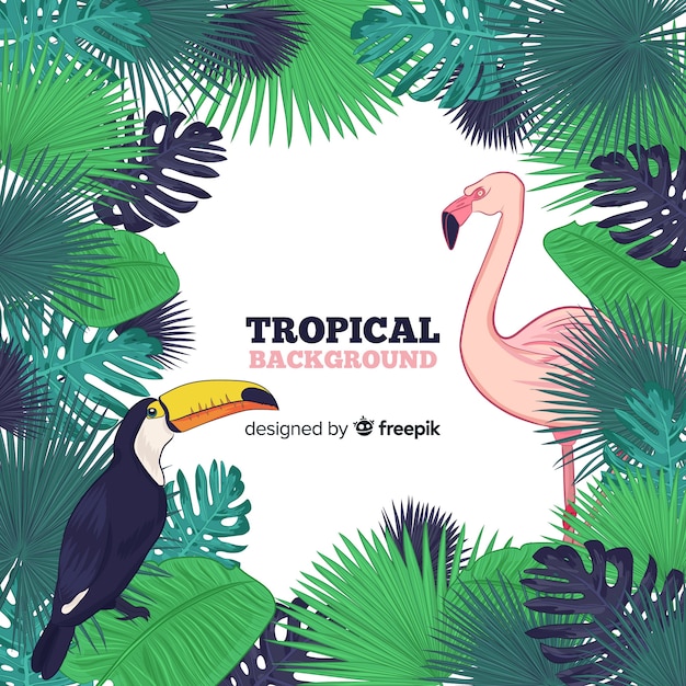 Fondo marco hojas tropicales