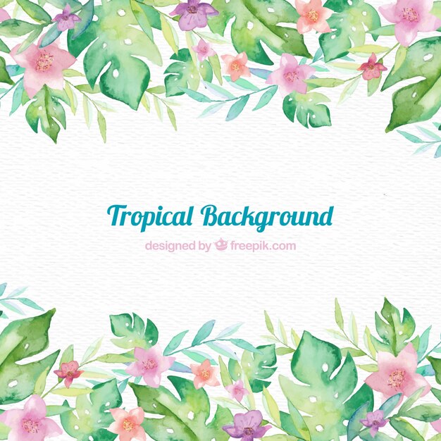 Fondo con marco tropical