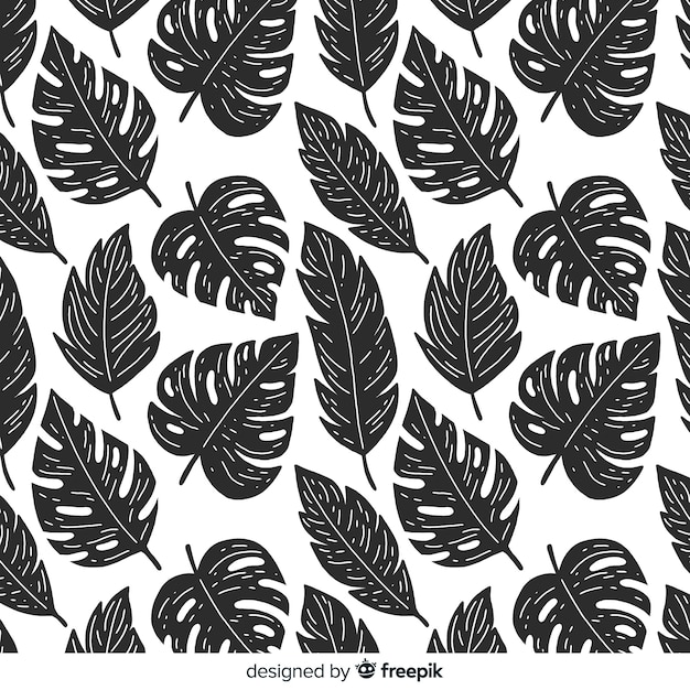 Fondo monstera sin color