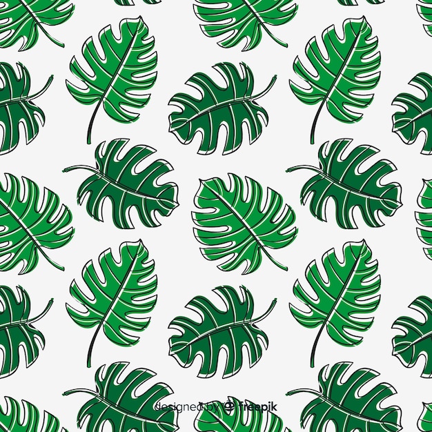 Fondo monstera dibujado a mano