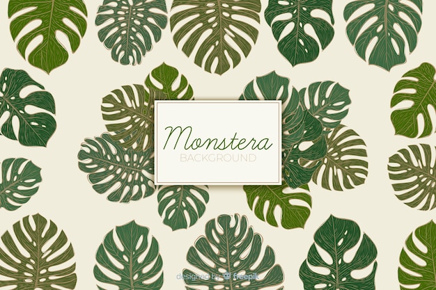 Fondo de monstera dibujado a mano