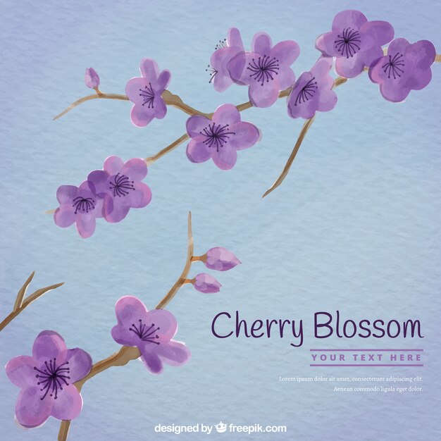 Fondo morado de flor de cerezo