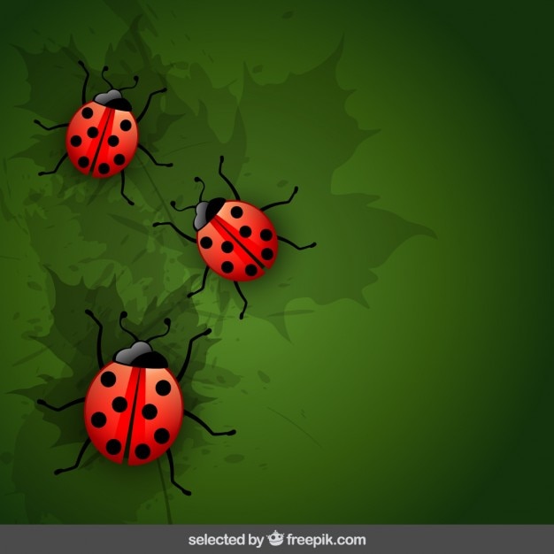 Vector gratuito fondo natural de mariquitas