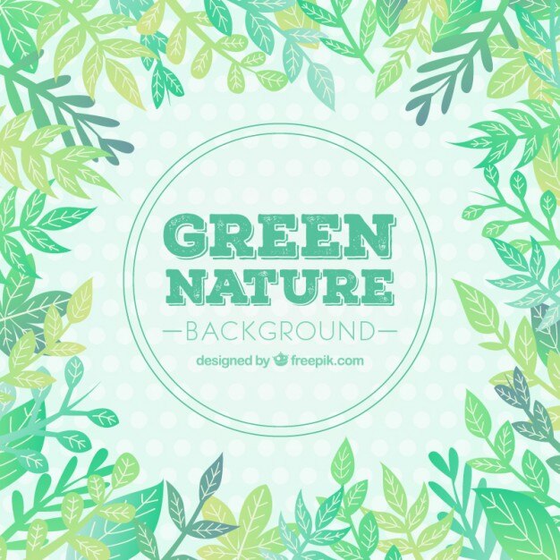 Fondo de naturaleza en tonos verdes