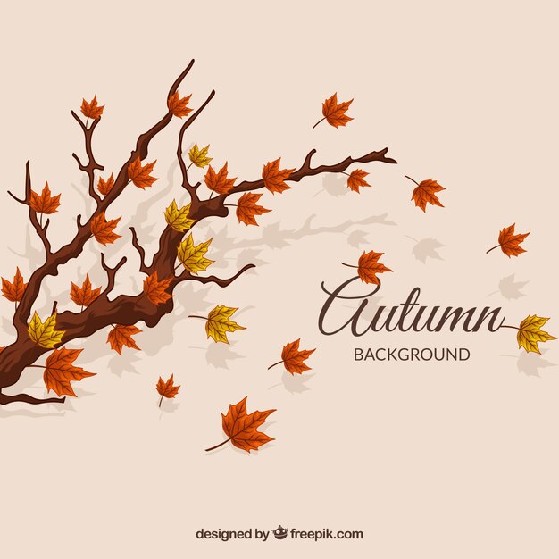 Fondo de otoño con árbol y hojas