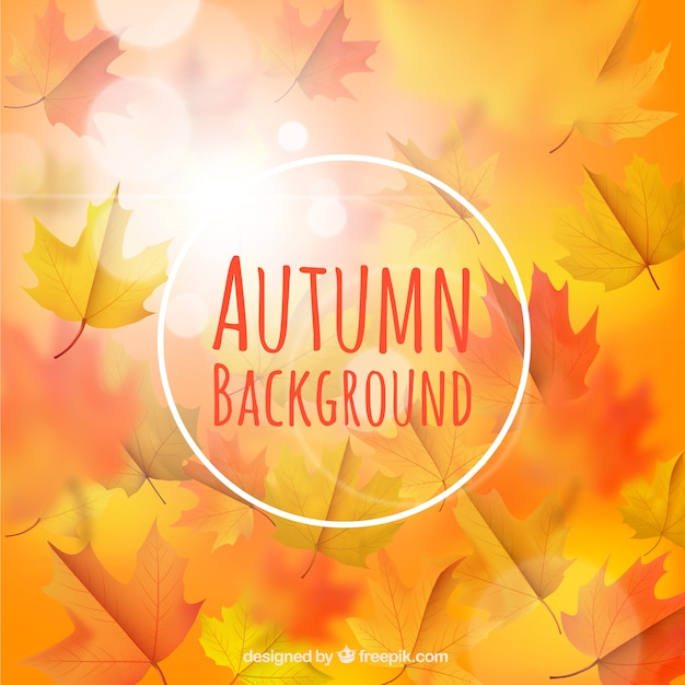Fondo de otoño borroso en estilo detallado