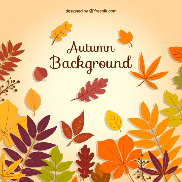 Fondo de otoño feliz con variedad de hojas