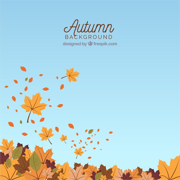 Fondo de otoño con hojas y cielo