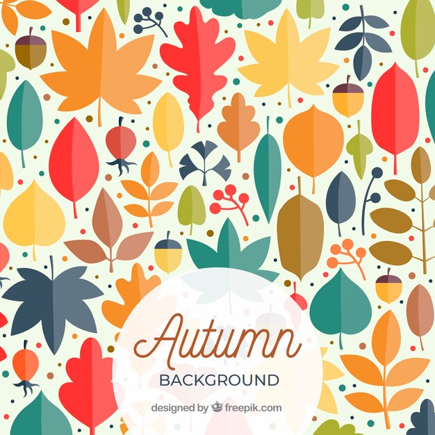 Fondo de otoño con hojas coloridas y bellotas