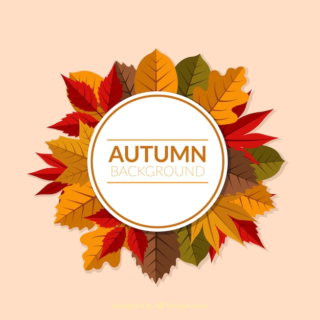Fondo de otoño con hojas diferentes