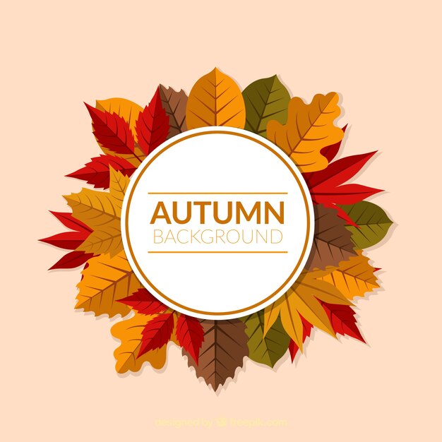 Fondo de otoño con hojas diferentes