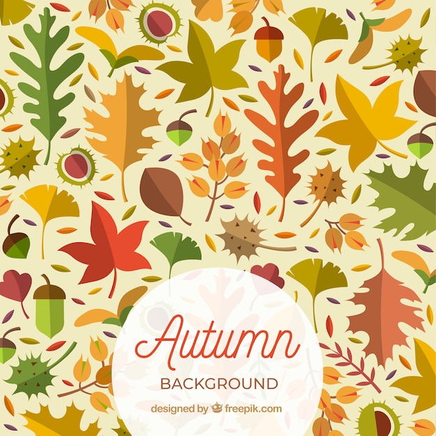 Fondo de otoño con hojas planas