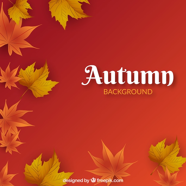 Fondo de otoño con hojas realistas