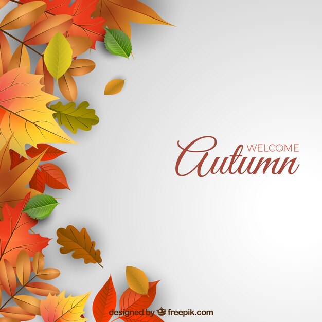 Fondo de otoño con hojas realistas