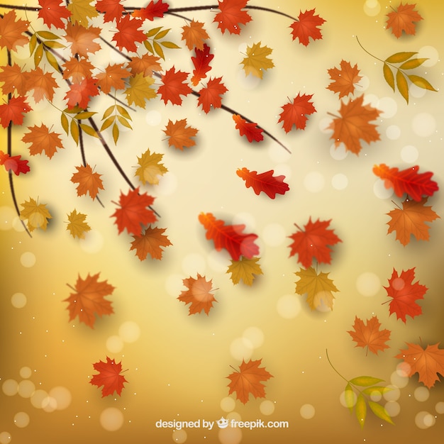 Vector gratuito fondo de otoño con hojas secas