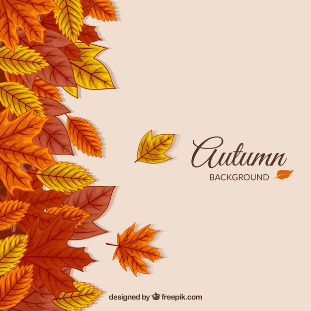 Fondo de otoño con hojas
