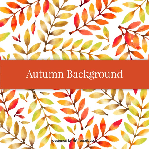 Fondo de otoño con hojas